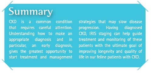 Summary of diagnosing and staging feline chronic kidney disease