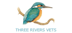 threeriversvetgroup.co.uk logo